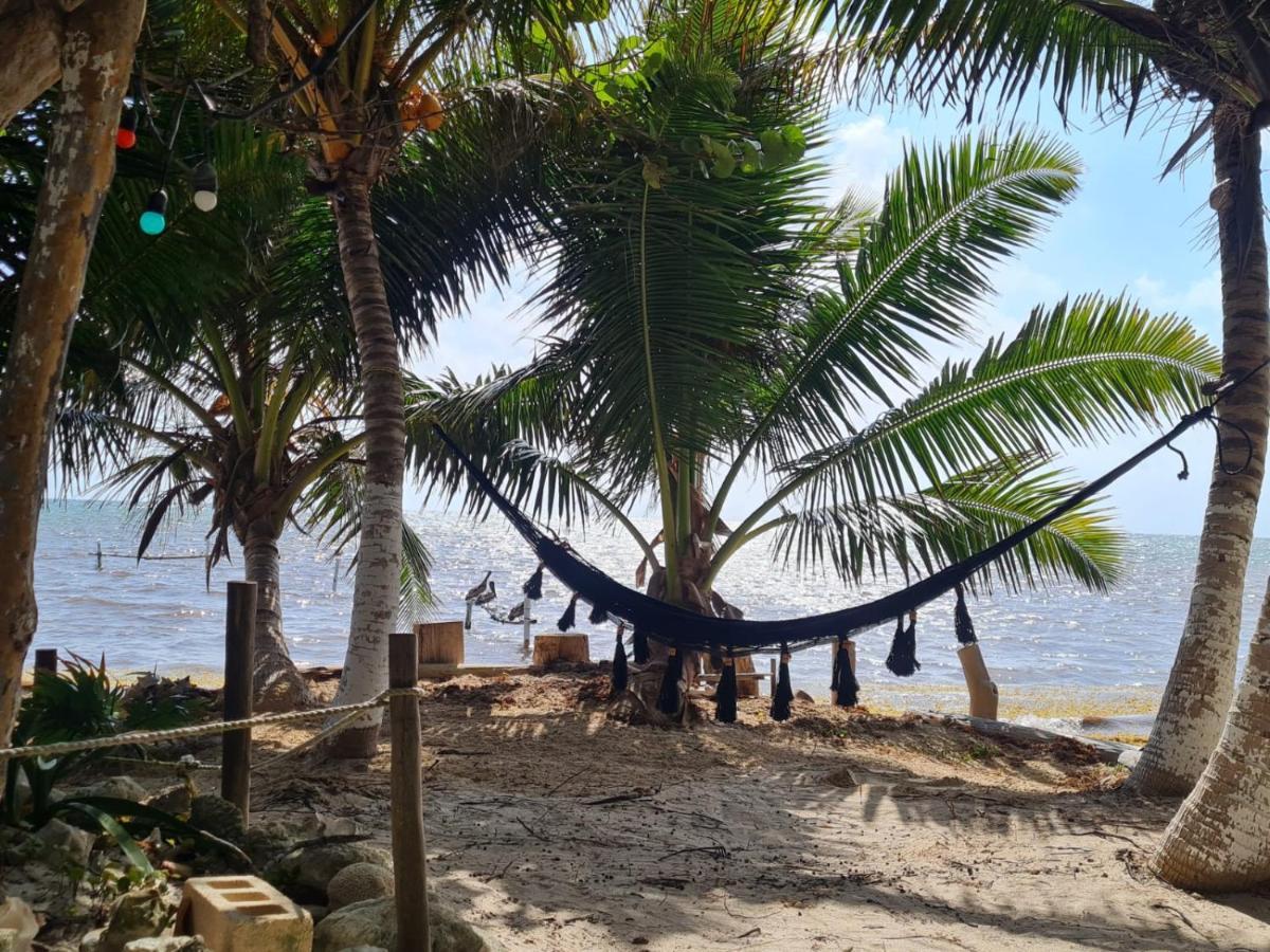 Hotel Maya Luna Adults Only Mahahual Zewnętrze zdjęcie