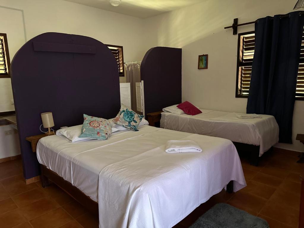 Hotel Maya Luna Adults Only Mahahual Zewnętrze zdjęcie