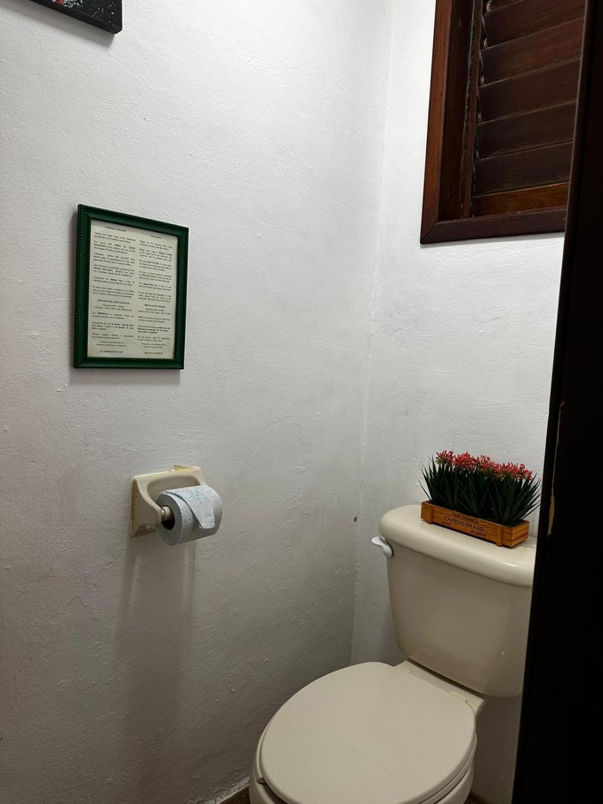 Hotel Maya Luna Adults Only Mahahual Zewnętrze zdjęcie